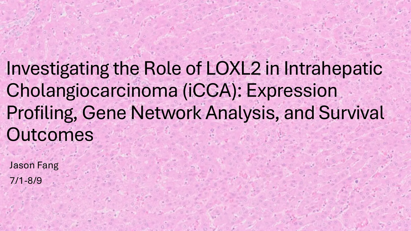 Slide 1 of 37: Investigating the Role of LOXL2 in Intrahepatic Cholangiocarcinoma (iCCA)