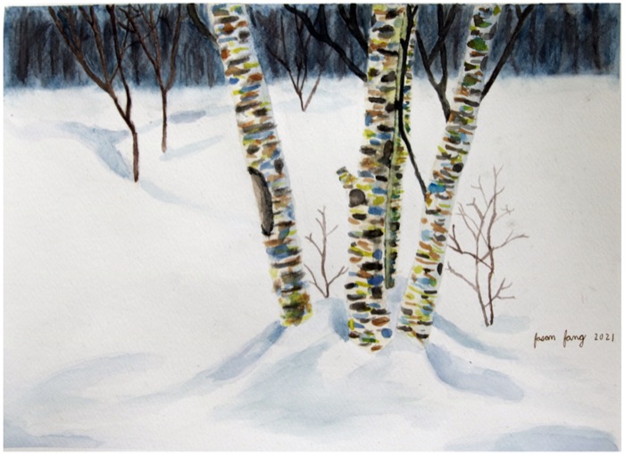 Bleached Birches — watercolor of pale birch trees in winter